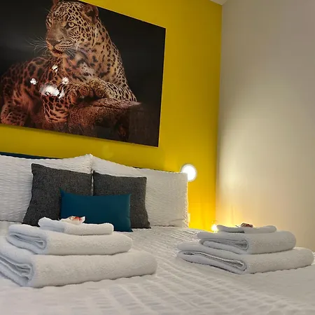 Thesuite *